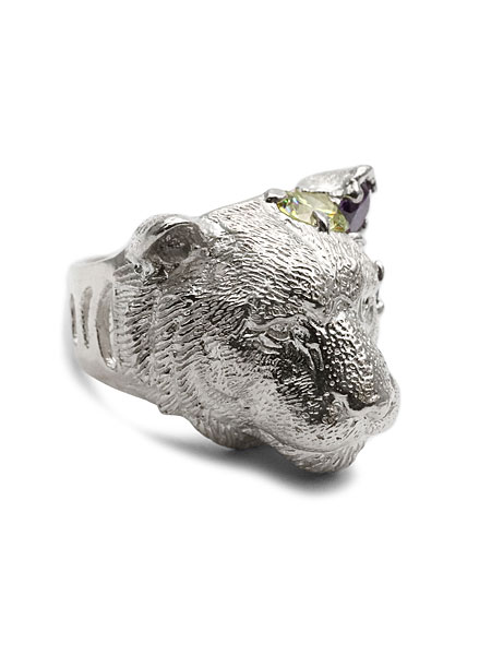 リングを横から写した画像で、アームのホール加工がトラの縞模様として表現されているのが分かります。