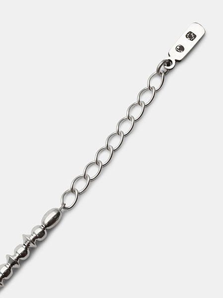 アジャスターチェーンとホールマーク調の刻印入りプレートタグ部分を写した画像。