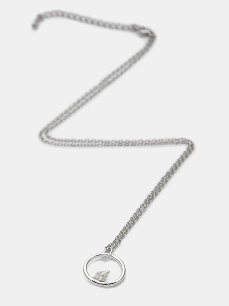 リングに雷鳥がとまったネックレストップとサージカルステンレスチェーンを写した商品全体画像。