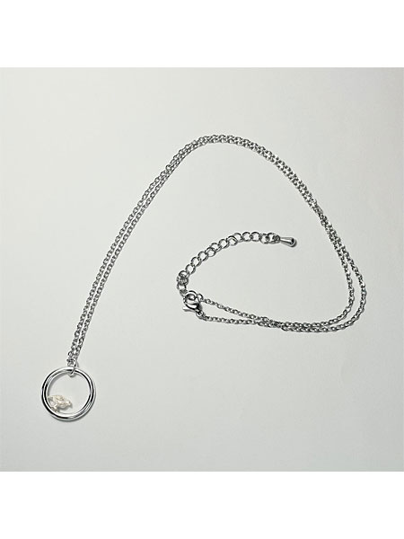 リングに雷鳥がとまったネックレストップとサイズ調節ができるサージカルステンレスチェーンを写した商品全体画像。