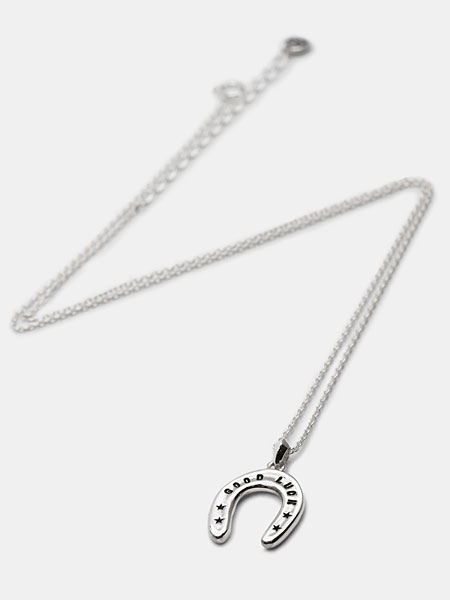 ペンダントトップとネックレスチェーン全体を写した、バランスとサイズ感がわかるネックレスの画像。