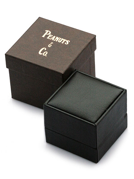 付属のブランド専用ボックスの画像。