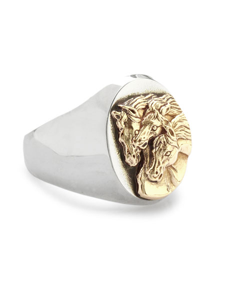 リングを横から撮影し、厚みや立体感がわかる写真。